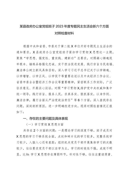 政府办公室党组班子20232024专题生活会新六个方面班子对照检查材料（践行宗旨等6个方面）.docx