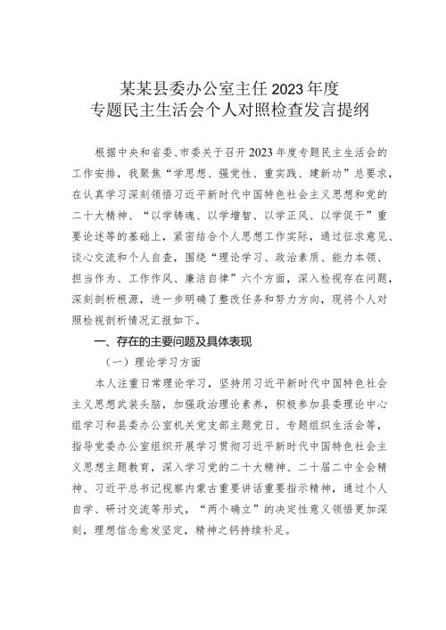 某某县委办公室主任2023专题民主生活会个人对照检查发言提纲(1).docx