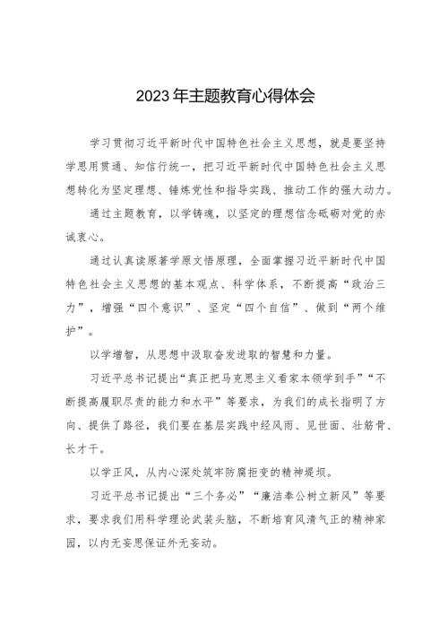 国有企业学习更多贯彻2023年主题教育的心得体会八篇.docx