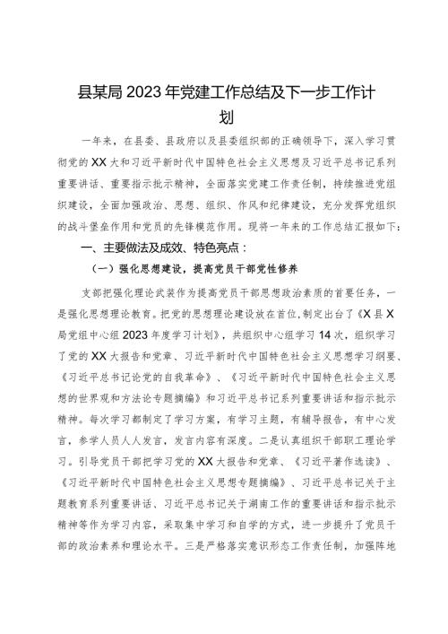 县某局2023年党建工作总结及下一步工作计划.docx