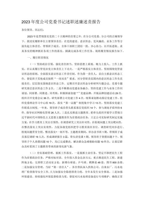 2023公司党委书记述职述廉述责报告.docx
