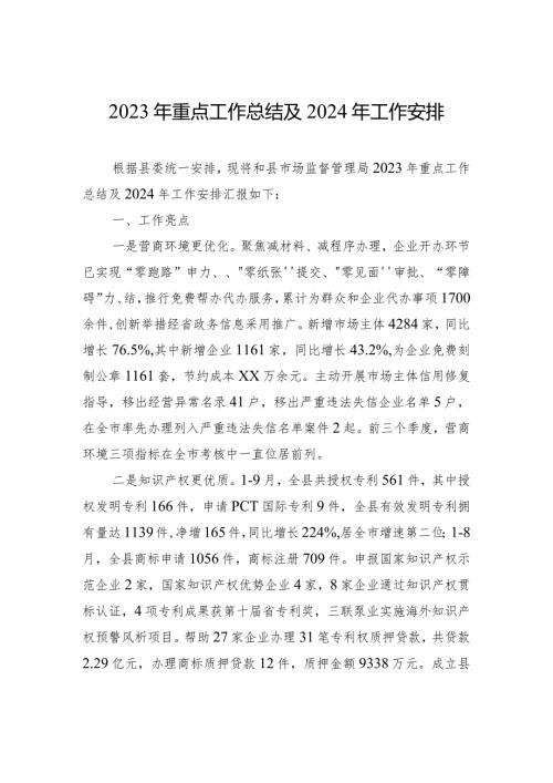 2023年重点工作总结及2024年工作安排（20240108）.docx