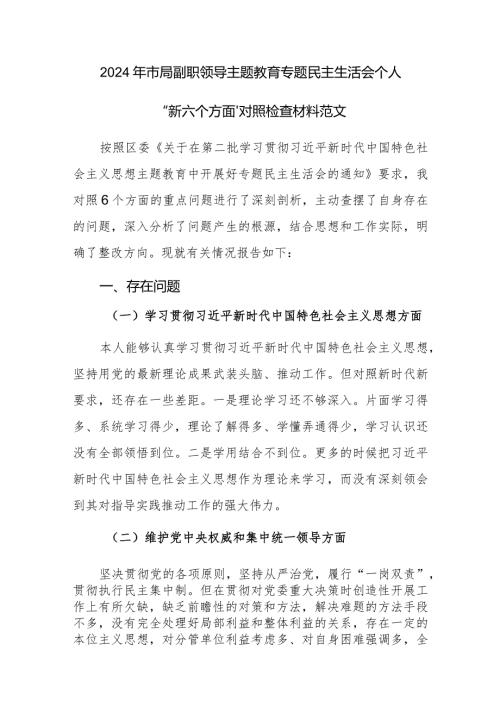 2024年市局副职领导主题教育专题民主生活会个人“新六个方面”对照检查材料范文.docx