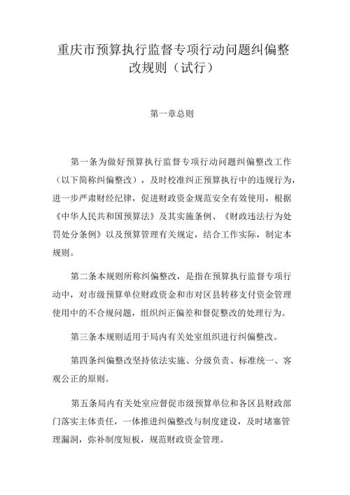 重庆市预算执行监督专项行动问题纠偏整改规则（试行）.docx