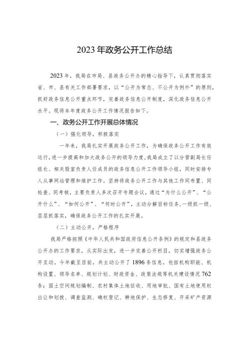 2023年政务公开工作总结(20240105).docx