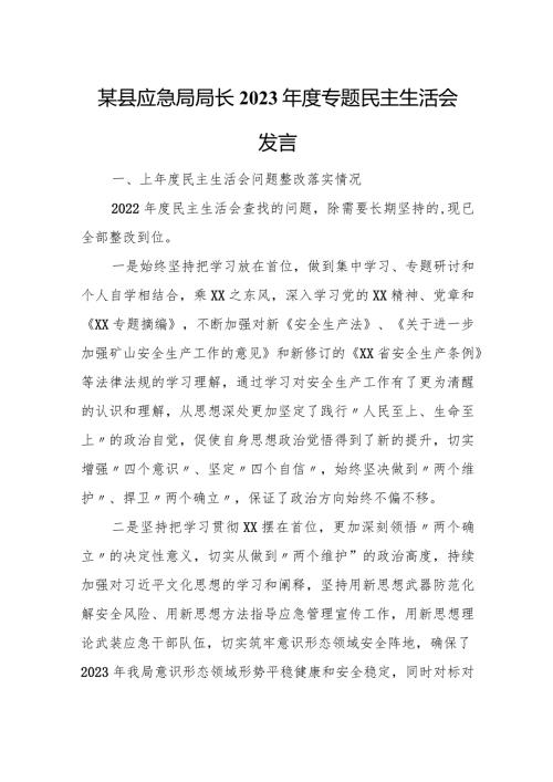 某县应急局局长2023专题民主生活会发言.docx