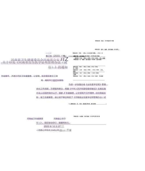 《出生医学证明》备案登记、证明、承诺书、申请表等21个表格(1).docx