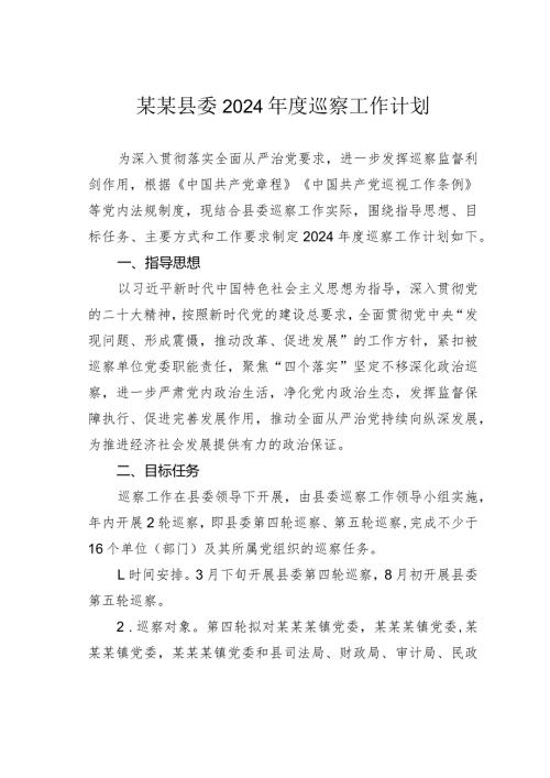 某某县委2024巡察工作计划.docx