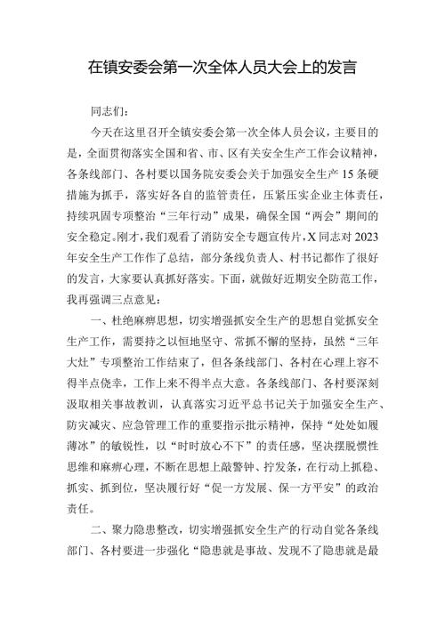 在镇安委会第一次全体人员大会上的发言.docx