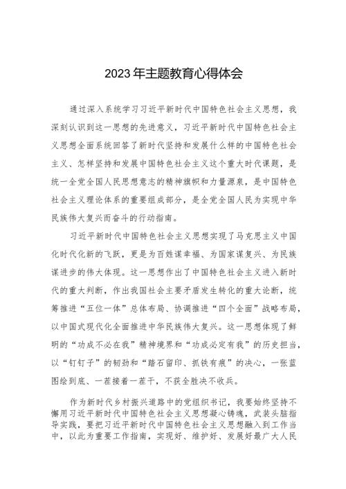村支部书记第二批主题教育的心得感悟八篇.docx