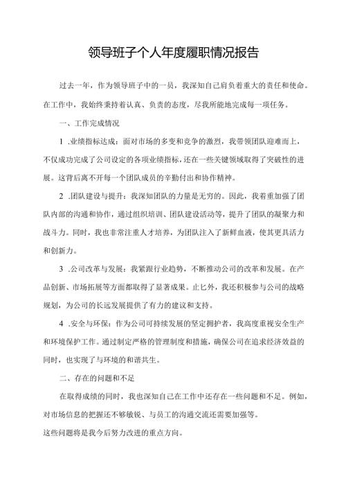 领导班子个人履职情况报告.docx