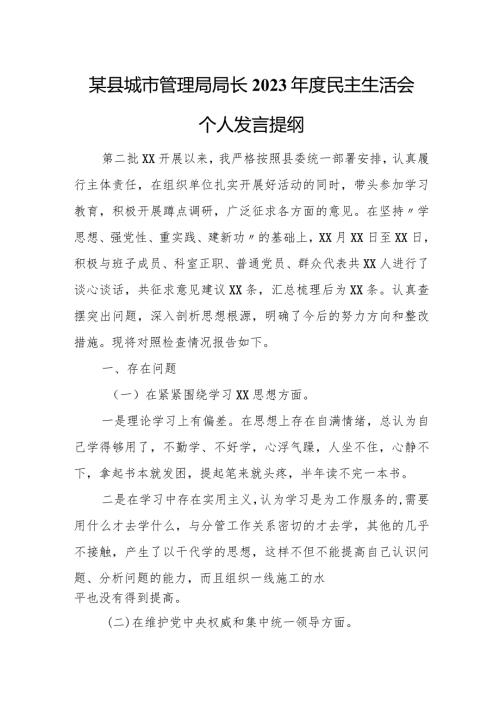 县城市管理局局长2023民主生活会个人发言提纲.docx