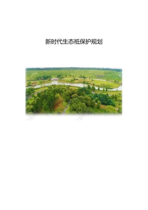新时代生态环境保护规划(1).docx