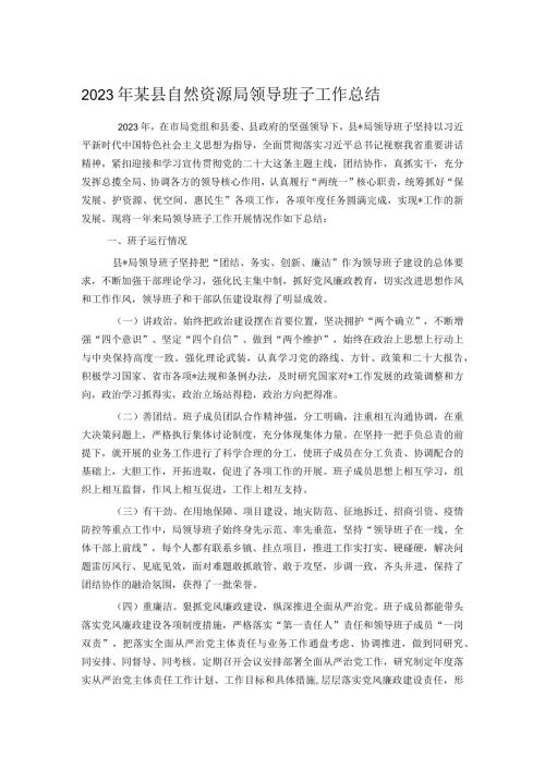 2023年某县自然资源局领导班子工作总结.docx