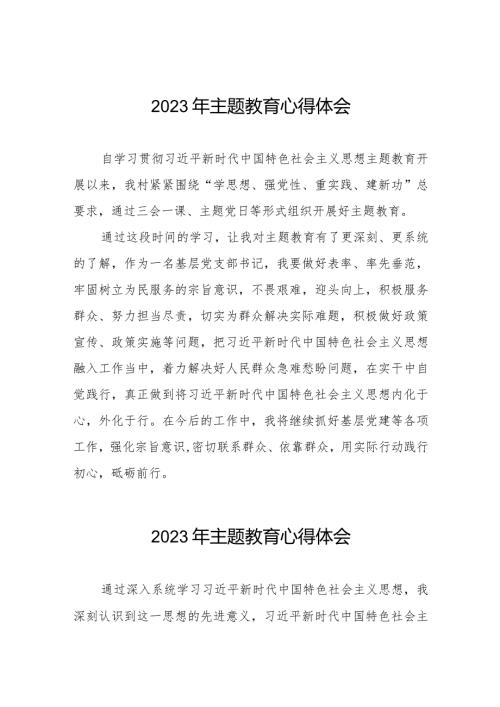 村支部书记关于第二批主题教育的心得体会八篇.docx