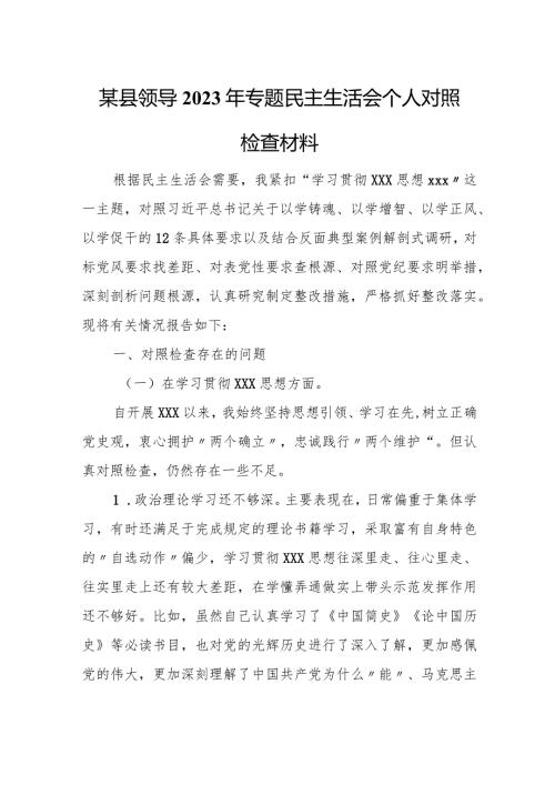 某县领导2023年专题民主生活会个人对照检查材料.docx