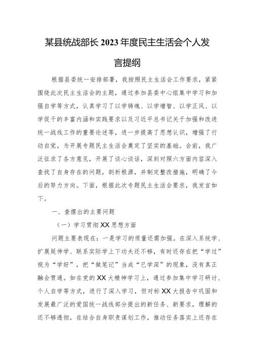某县统战部长2023民主生活会个人发言提纲.docx