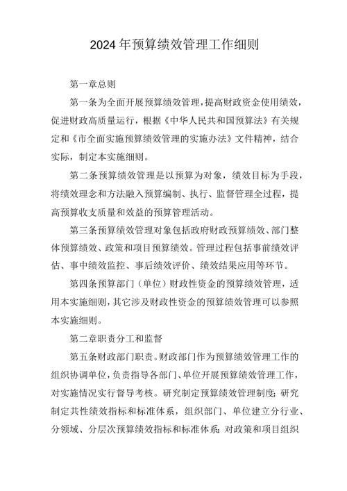 2024年预算绩效管理工作细则.docx