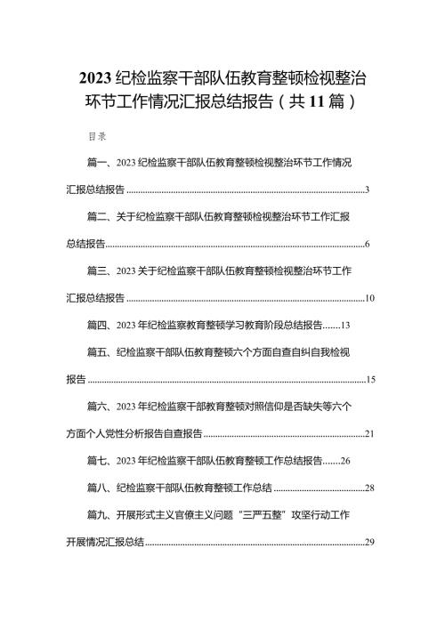 （11篇）纪检监察干部队伍教育整顿检视整治环节工作情况汇报总结报告参考范文.docx