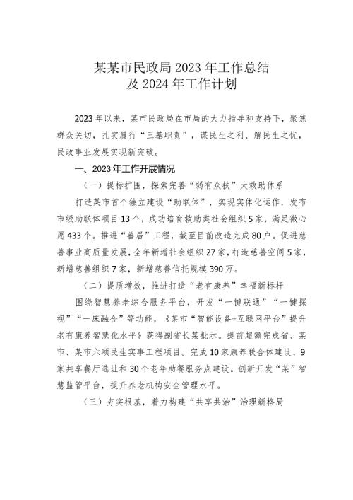 某某市民政局2023年工作总结及2024年工作计划(1).docx
