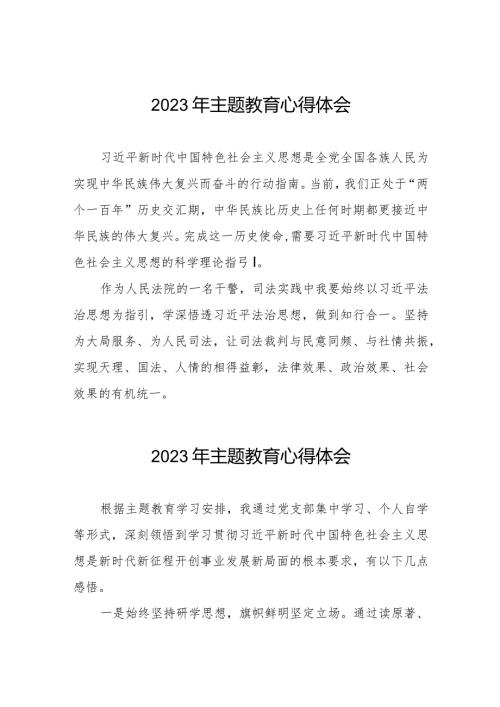 法院关于第二批主题教育学习心得体会交流发言八篇.docx