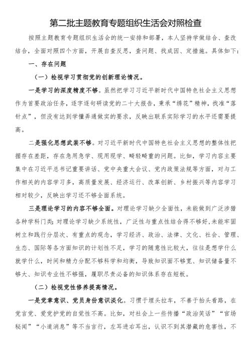 第二批主题教育专题组织生活会对照检查.docx