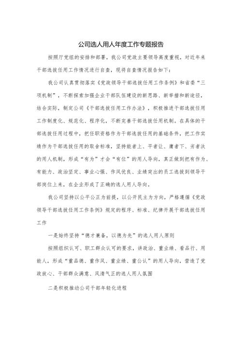 公司选人用人工作专题报告.docx