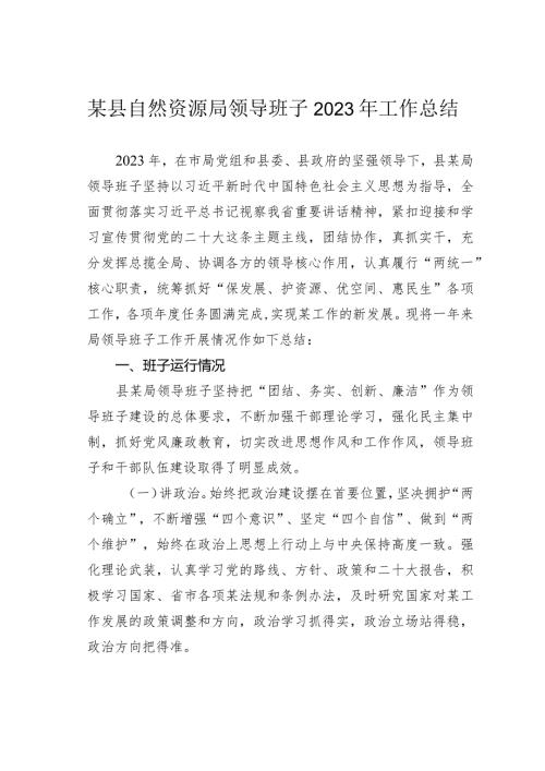 某县自然资源局领导班子2023年工作总结(1).docx