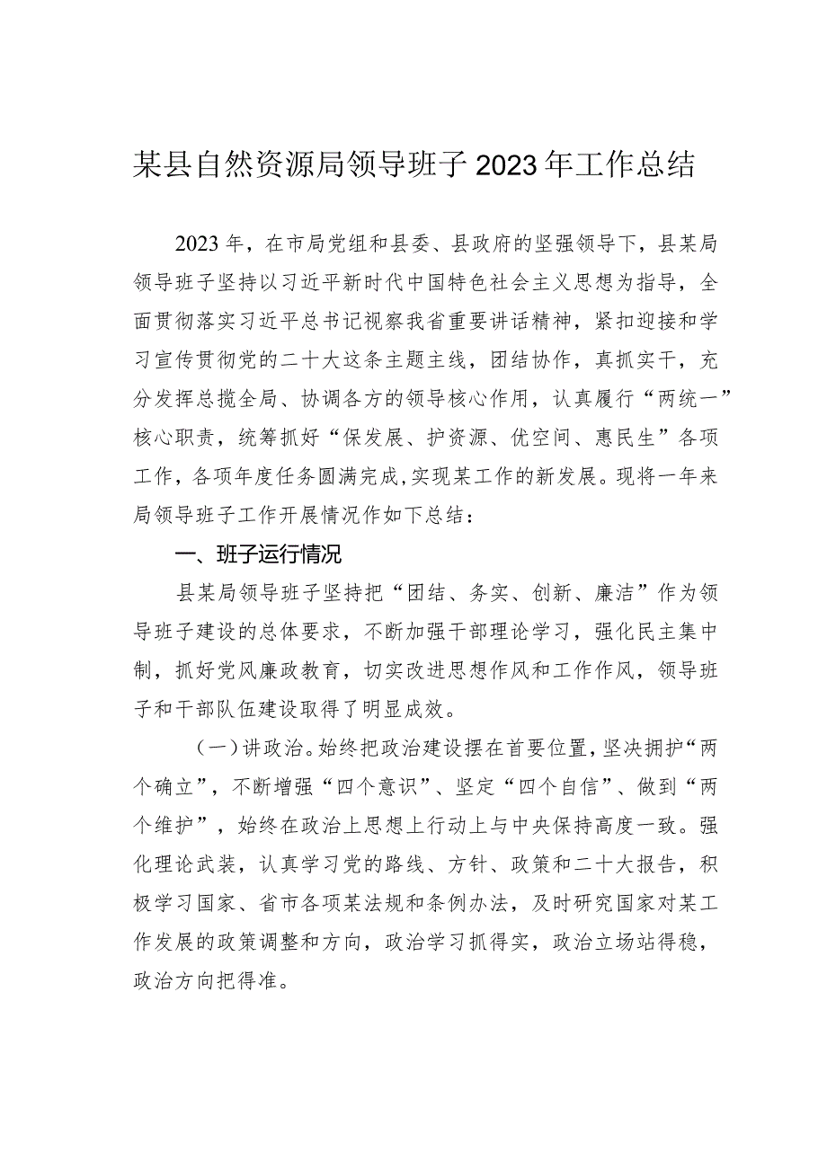 某县自然资源局领导班子2023年工作总结(1).docx_第1页