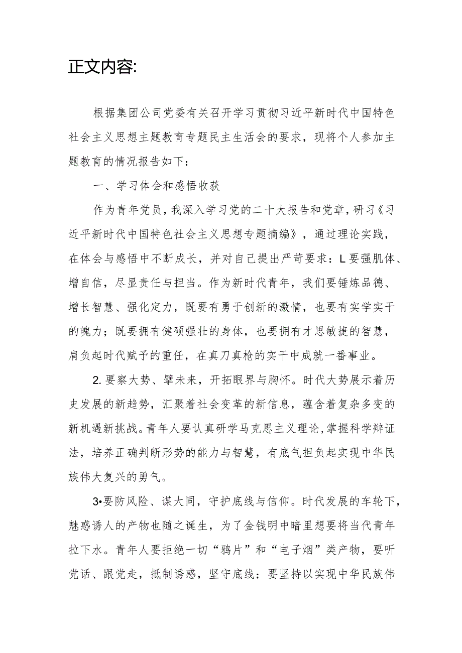 公司青年党员干部检视学习贯彻党的创新理论、党性修养提高、联系服务群众、发挥先锋模范作用四个方面专题民主生活会个人发言提纲.docx_第2页