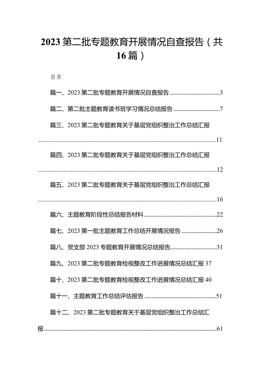 第二批专题教育开展情况自查报告范文精选(16篇).docx_第1页