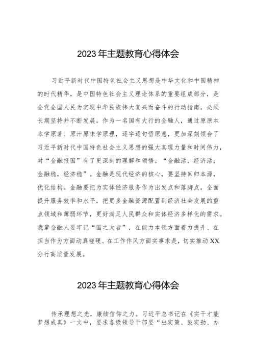 国有银行2023年主题教育学习体会八篇.docx
