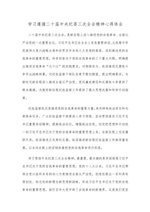 学习遵循二十中央纪委三次全会精神心得体会.docx