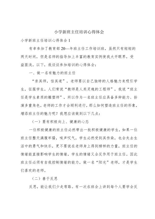 小学新班主任培训心得体会.docx