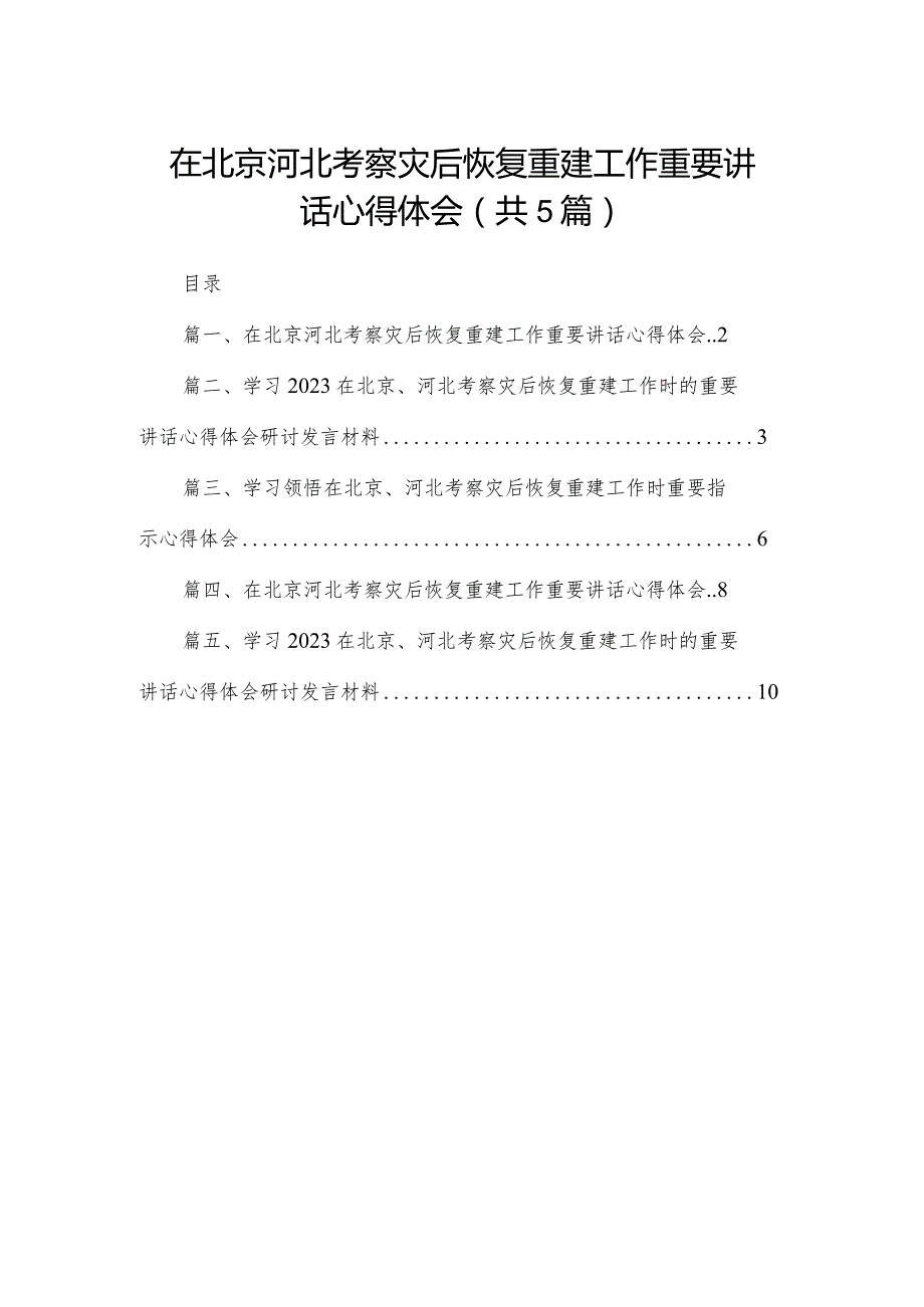 2024在北京河北考察灾后恢复重建工作重要讲话心得体会精选（共五篇）(1).docx_第1页