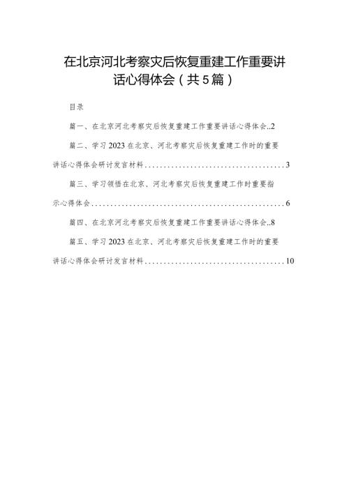 2024在北京河北考察灾后恢复重建工作重要讲话心得体会精选（共五篇）(1).docx