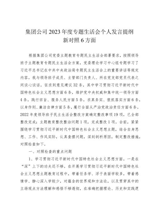 2篇国企公司20232024主题教育专题生活会班子成员个人对照检查发言提纲（践行宗旨等6个方面）.docx