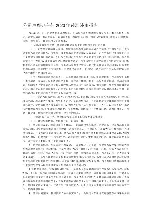 公司巡察办主任2023年述职述廉报告.docx