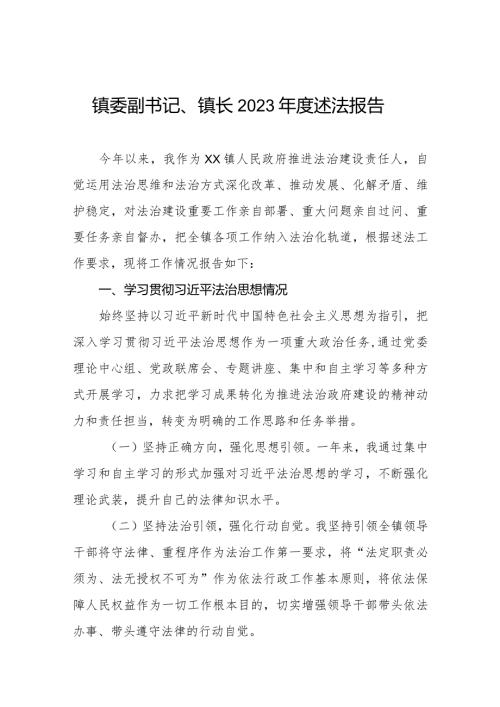 镇委副书记镇长2023述法报告三篇.docx
