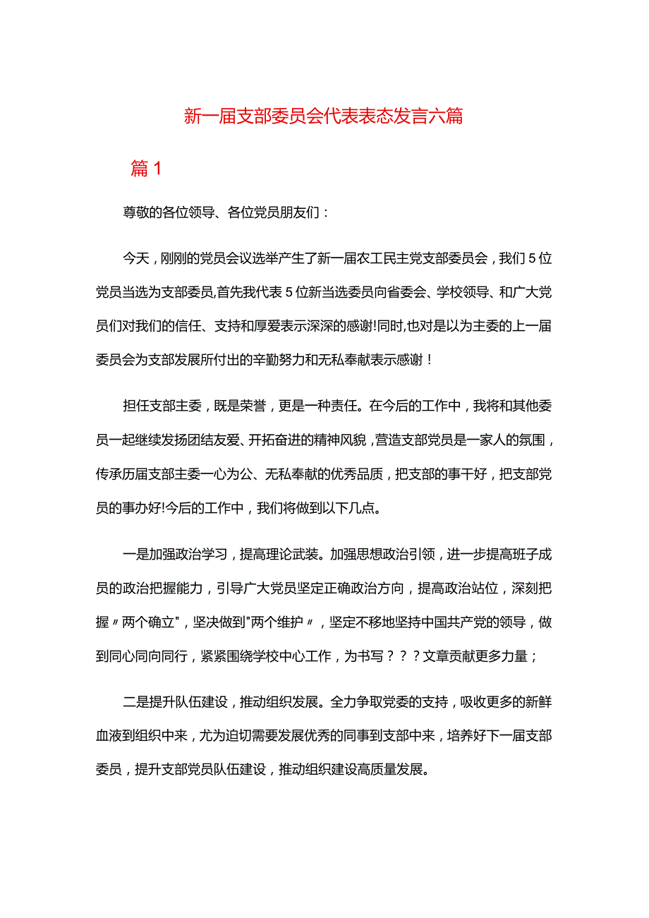 新一支部委员会代表表态发言六篇.docx_第1页