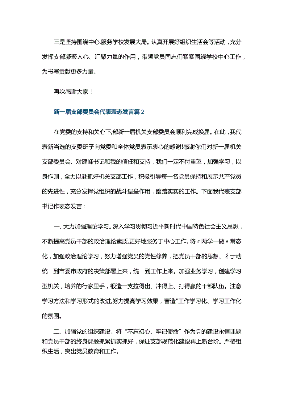 新一支部委员会代表表态发言六篇.docx_第2页