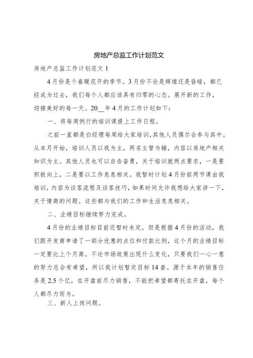 房地产总监工作计划范文.docx