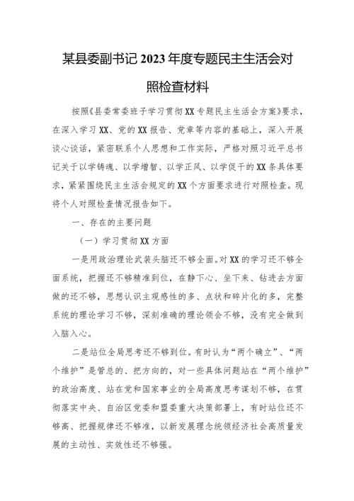 某县委副书记2023专题民主生活会对照检查材料.docx