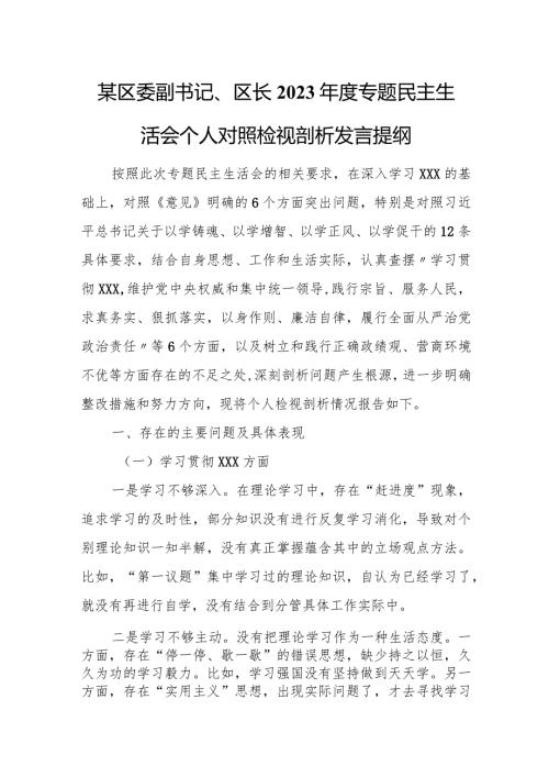 某区委副书记、区长2023专题民主生活会个人对照检视剖析发言提纲.docx