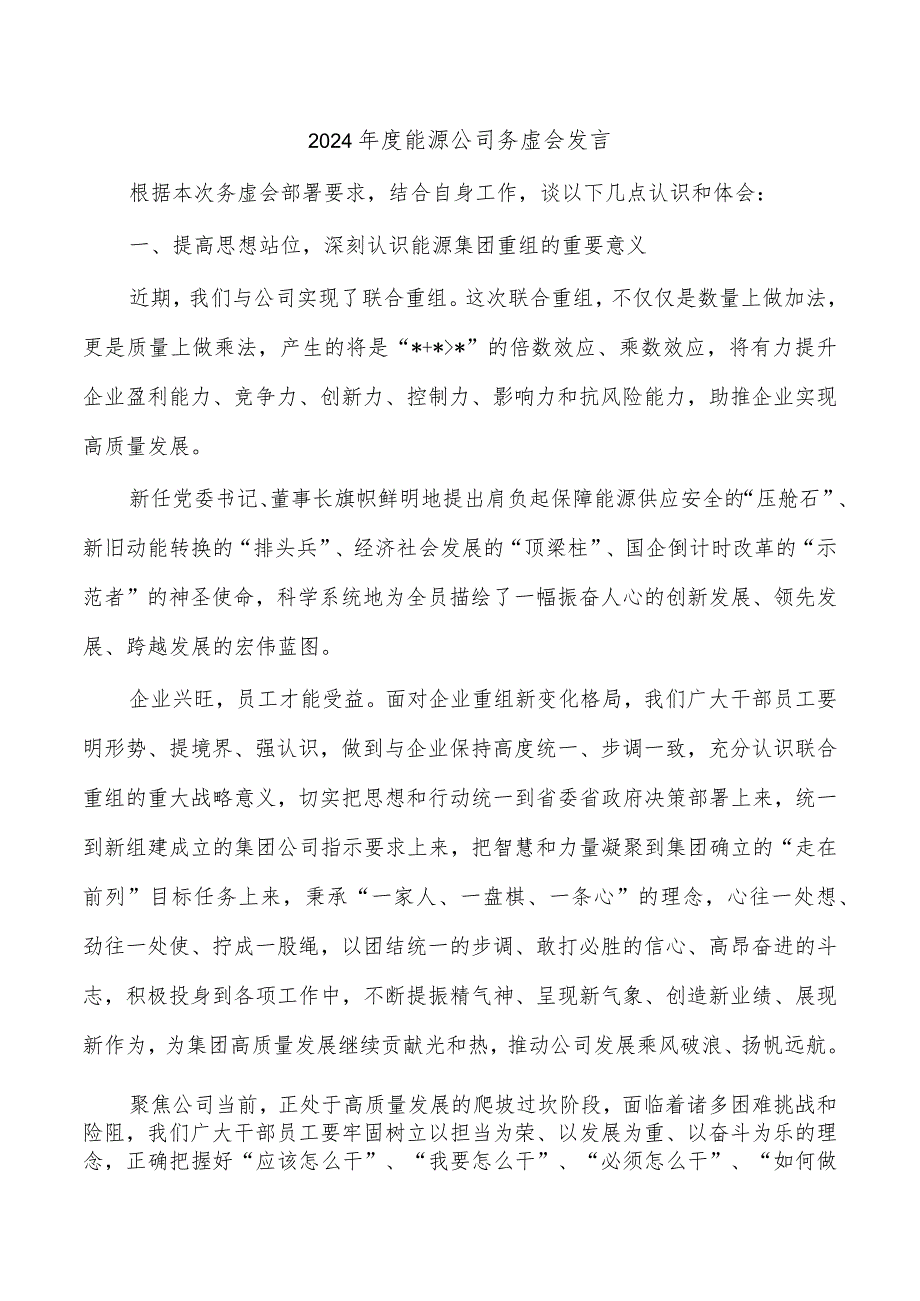 2024能源公司务虚会发言.docx_第1页