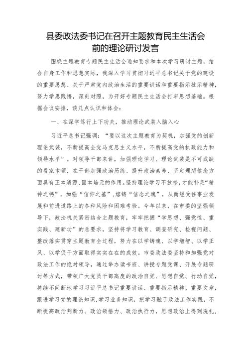 （会前）政法委书记在主题教育专题民主生活会前的理论研讨发言.docx