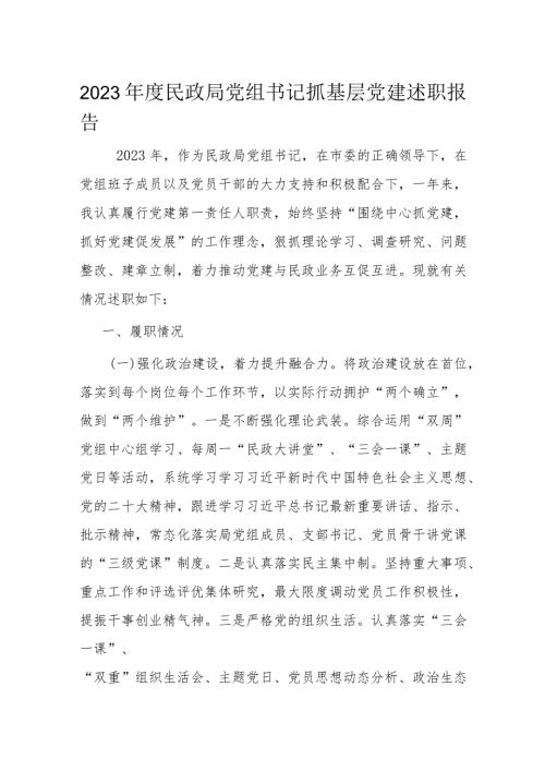 2023民政局党组书记抓基层党建述职报告(1).docx