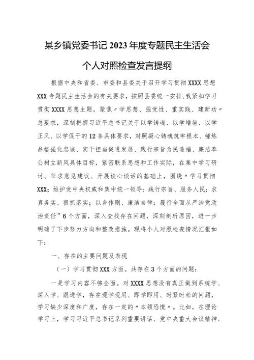 某乡镇党委书记2023专题民主生活会个人对照检查发言提纲.docx