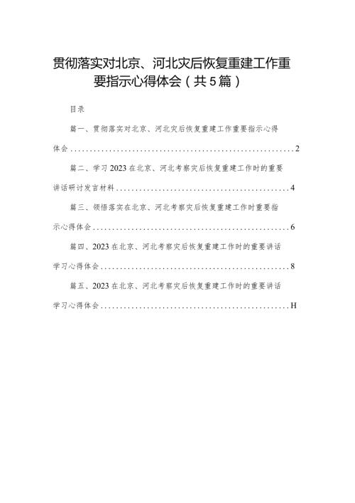 2024贯彻落实对北京、河北灾后恢复重建工作重要指示心得体会（共5篇）.docx