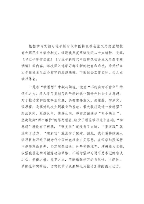 2023主题教育专题民主生活会会前学习研讨发言材料（精选两篇合辑）(3).docx